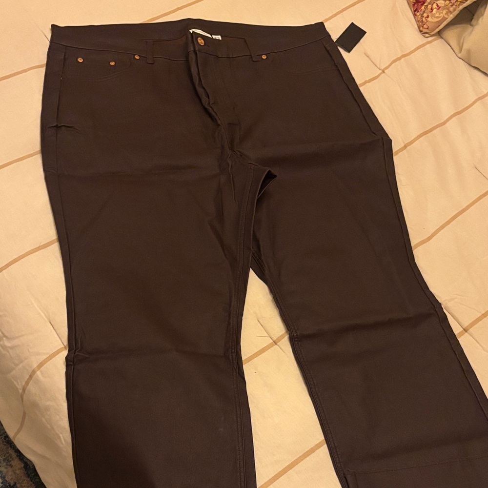 Canyon Retreat Chocolate Brown Pants with Gold Accent